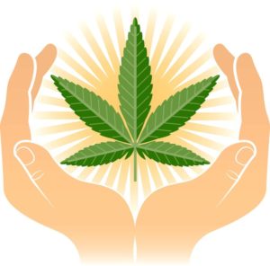 benefits of marijuana, effects of marijuana, medicinal cannabis