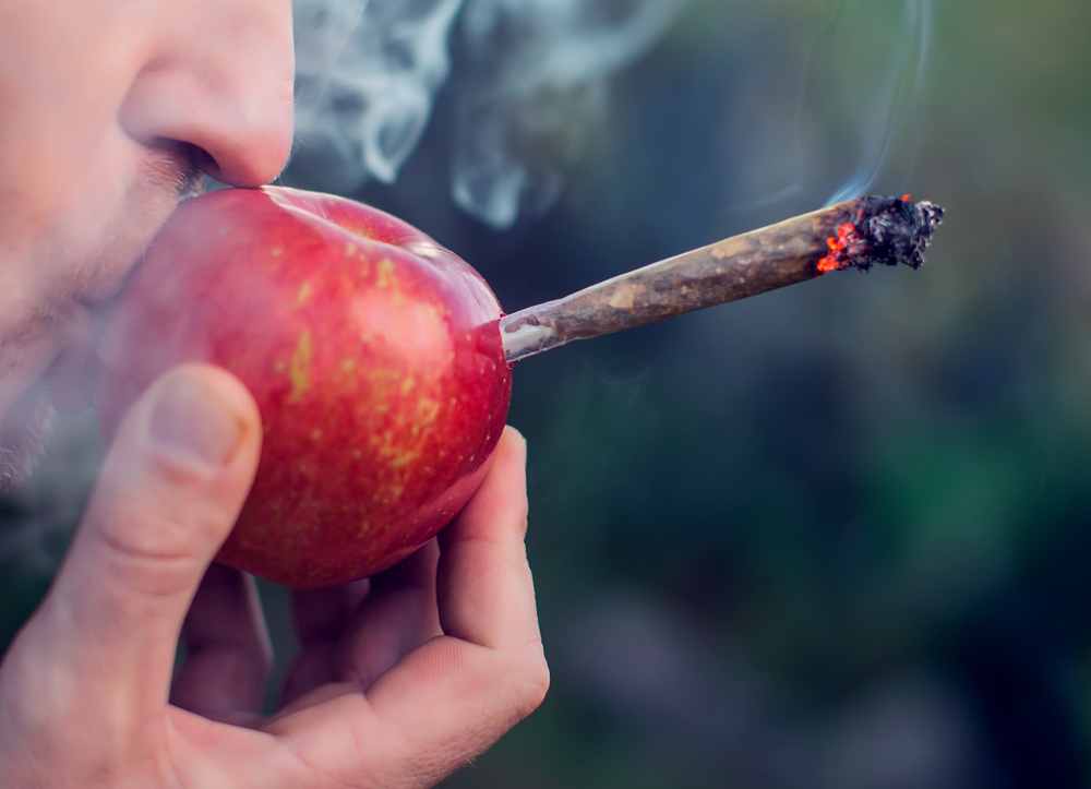 apple pipe guide