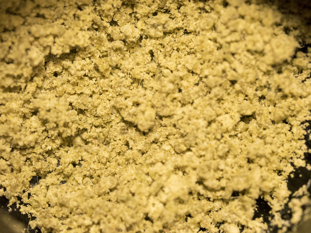 what is bubble hash