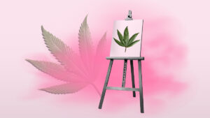 Does cannabis effect Creativity