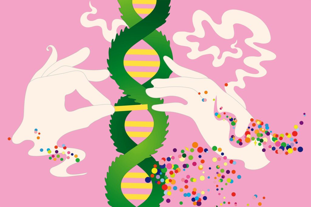 Cannabis DNA