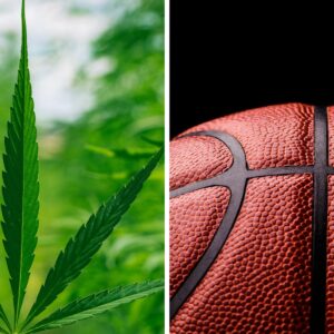 NBA Marijuana Policy