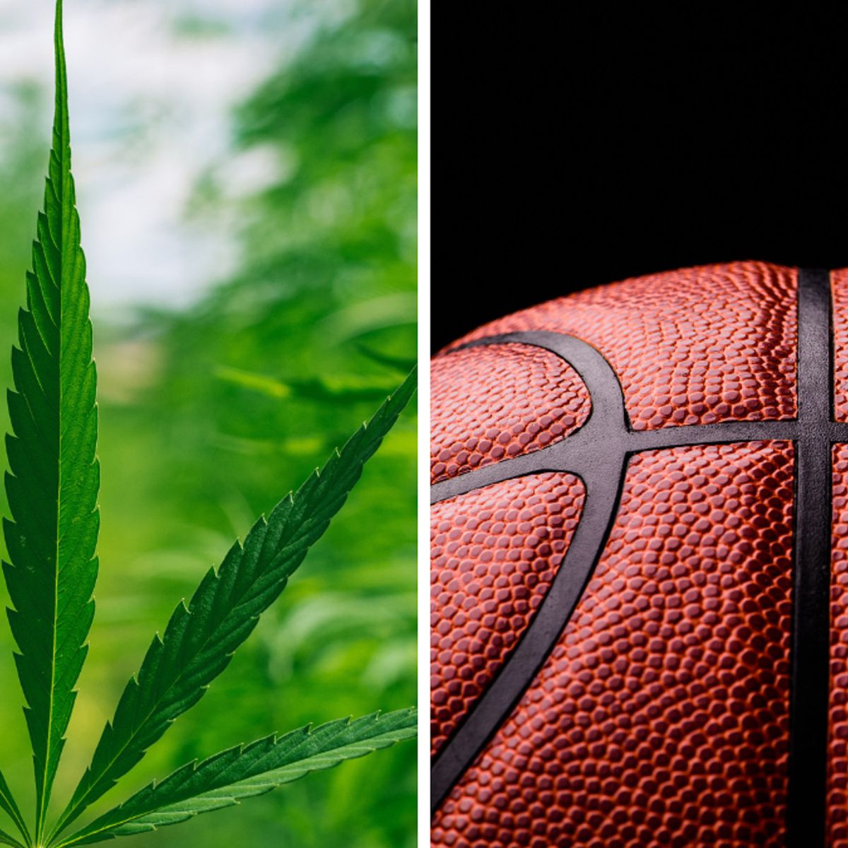 NBA Marijuana Policy